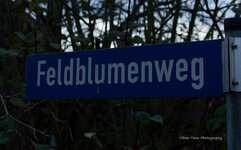 IMGP0627.jpg