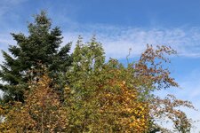 IMG_5703_S.jpg