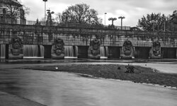 DSC_31114.jpg