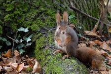 comp_DSC_4402.jpg