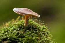 comp_IMG_6019-2.jpg comp_IMG_6019-2.jpg