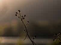 20131113-PB131997.jpg