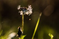 20131113-PB132028.jpg