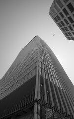 D80_2585-1.jpg