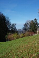 comp_IMGP0116.jpg