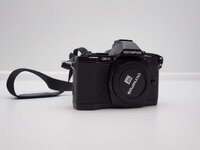 PB110665_gfxWandler.jpg