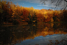 DSC_3634-1200.jpg