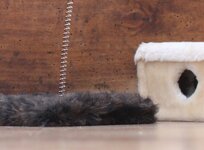 IMG_797_crop.jpg IMG_797_crop.jpg