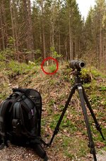 bgl_2012-04-30_057.jpg