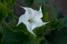 DSC_3517.jpg