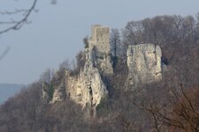 IMG_5418.jpg