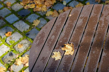 X-E1 2013.11.23 d.jpg