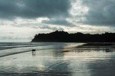 IMG_2490.jpg