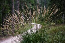 X-E1 2013.11.23 f.jpg