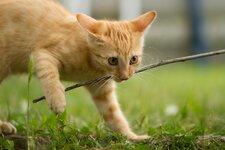 IMG_0589.jpg