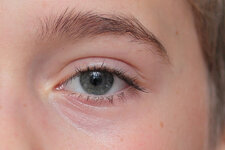 IMG_1596_crop.jpg