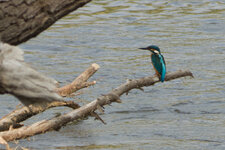 Ev P1010434 2.jpg