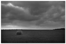 Feld1_2013.jpg