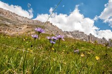 comp__DSC0036-Bearbeitet.jpg