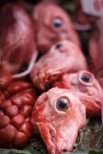 20131022-IMG_1046.jpg