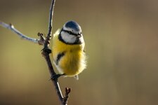 comp_IMG_8651.jpg