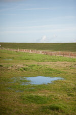 DSC_2965.jpg