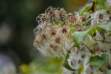 comp_DSC_3366-21.jpg