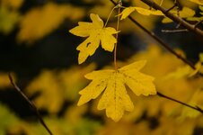comp_DSC_3391-21.jpg