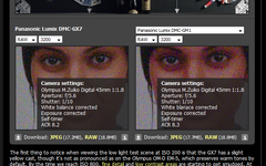GX7vsGM1_Details.PNG
