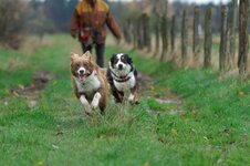 c00_DSC_0117_1110-1.jpg
