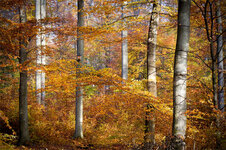 LR5-4748_DSLR.jpg