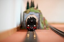 IMG_2831.jpg