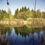 AGFA_CLICK_I_Mai13_##002.jpg