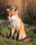IMG_5410-Bearbeitet-2.jpg