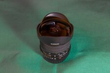 IMG_3800.jpg IMG_3800.jpg