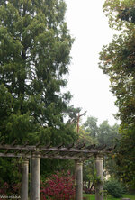 20131006-20131006-DSC05415.jpg