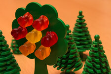 IMG_4087_Bärenbaum2_bearbeitet-1.jpg