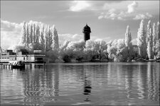 DSC_1176_n.jpg