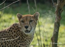 comp_DSC_0132.jpg