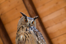 IMG_2125-2.jpg