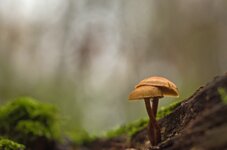 comp_IMGP6116rba.jpg comp_IMGP6116rba.jpg