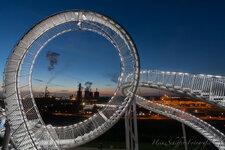 tiger&turtle3.jpg
