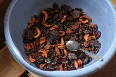 X-E1 2013.11.25 b.jpg