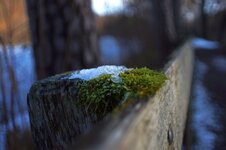 Test4-Tamron 24f2.5.jpg