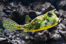 131214_Zoo_Münster-2.jpg