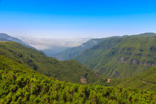 038E7705-LR4.4-red.jpg