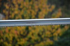 comp_DSC_1905.jpg