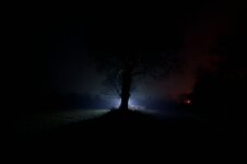 comp_DSC_8682org.jpg