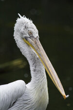 IMG_2570-1.jpg
