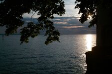 dp2 (6).jpg